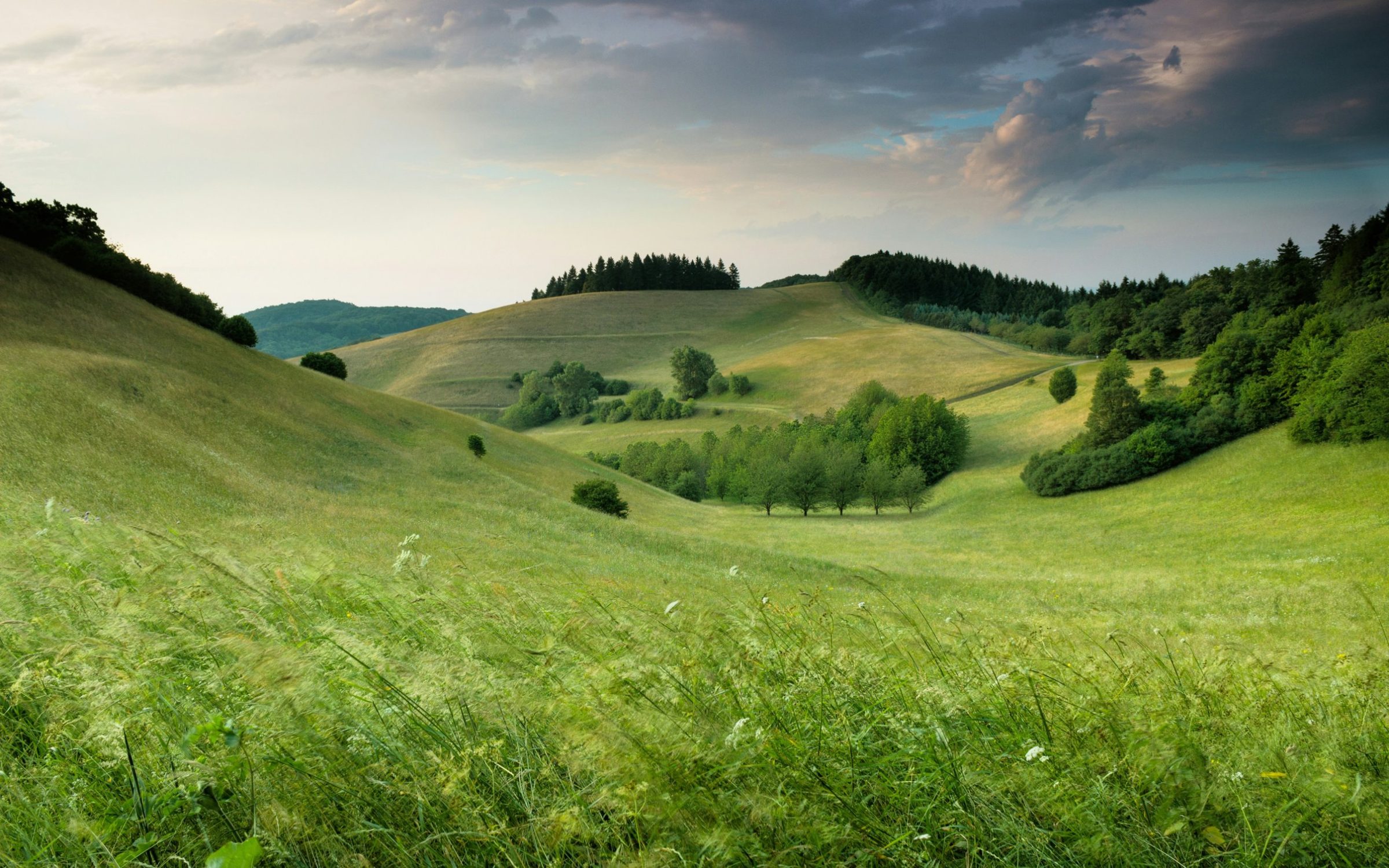 Rolling green hills and meadows under an evening sky